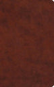 Book cover of: ESV Large Print Value Thinline Bible