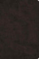 Book cover of: ESV Large Print Bible
