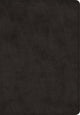 Book cover of: ESV Super Giant Print Bible