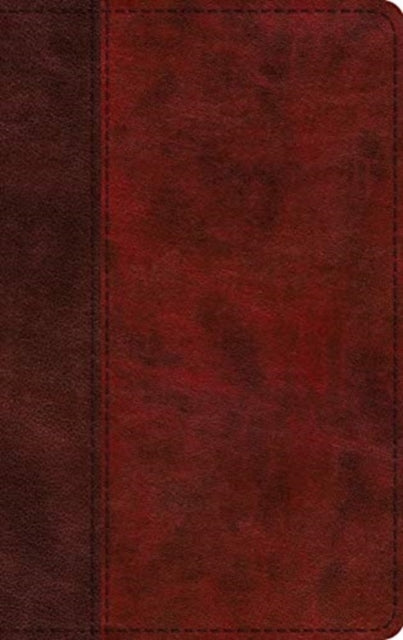 Book cover of: ESV Large Print Thinline Bible. By: Esv Bibles