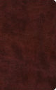 Book cover of: ESV Large Print Thinline Bible. By: Society for Promoting Christian Knowledge