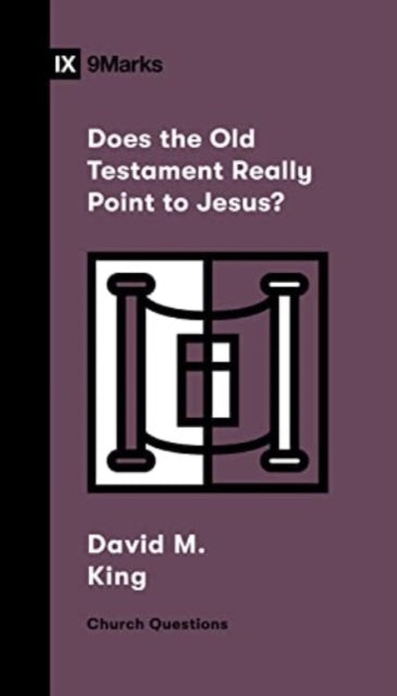 Book cover of: Does the Old Testament Really Point to Jesus?. By: David M. King