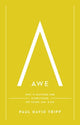 Book cover of: Awe