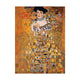 Book cover of: Klimt, Portrait of Adele (Special Editions) 1000 Piece Jigsaw Puzzle
