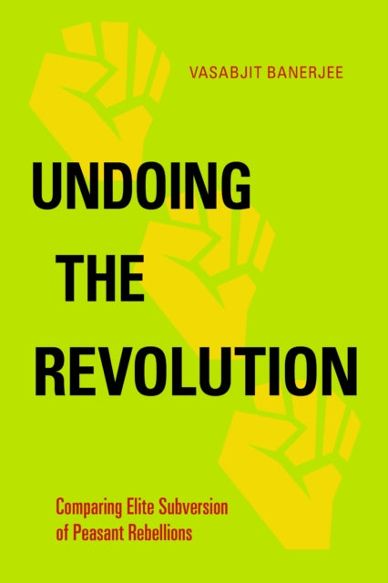 Book cover of: Undoing the Revolution. By: Vasabjit Banerjee