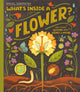 Book cover of: What's Inside a Flower?. By: Rachel Ignotofsky