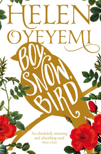 Book cover of: Boy, Snow, Bird. By: Helen Oyeyemi