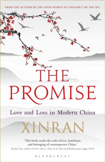 Book cover of: Promise. By: Xinran Xue