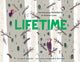 Book cover of: Lifetime. By: Lola M. Schaefer
