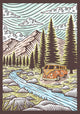 Book cover of: Great Outdoors Flexi Journal. By: Travis Pietsch