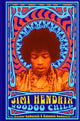 Book cover of: Jimi Hendrix: Voodoo Child. By: Harvey Kubernik