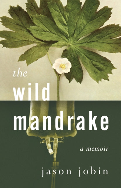 Book cover of: Wild Mandrake. By: Jason Jobin