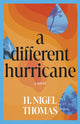 Book cover of: Different Hurricane. By: H. Nigel Thomas