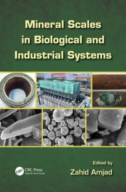 Book cover of: Mineral Scales in Biological and Industrial Systems. By: Zahid Amjad