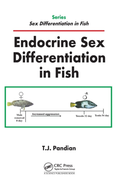 Book cover of: Endocrine Sex Differentiation in Fish