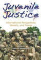 Book cover of: Juvenile Justice. By: John A. Winterdyk