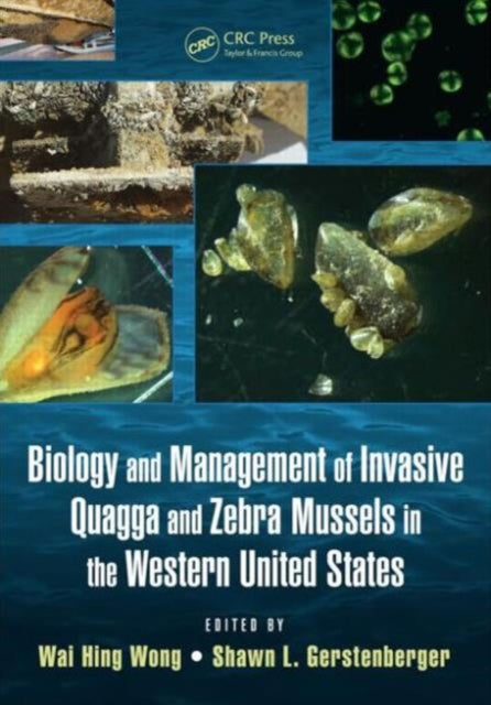 Book cover of: Biology and Management of Invasive Quagga and Zebra Mussels in the Western United States. By: Wai Hing Wong