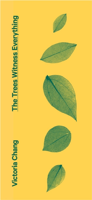 Book cover of: Trees Witness Everything. By: Victoria Chang