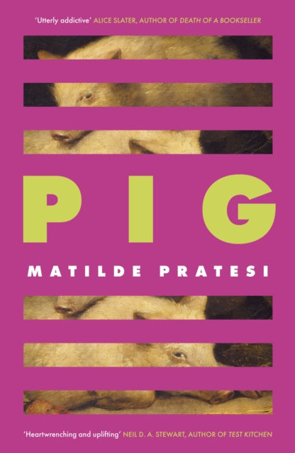 Book cover of: Pig