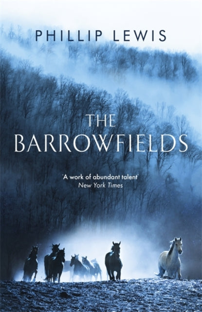 Book cover of: Barrowfields. By: Phillip Lewis