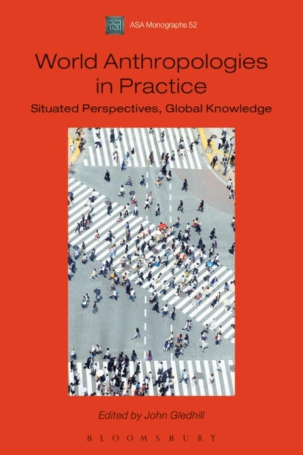 Book cover of: World Anthropologies in Practice