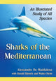 Book cover of: Sharks of the Mediterranean. By: Alessandro De Maddalena