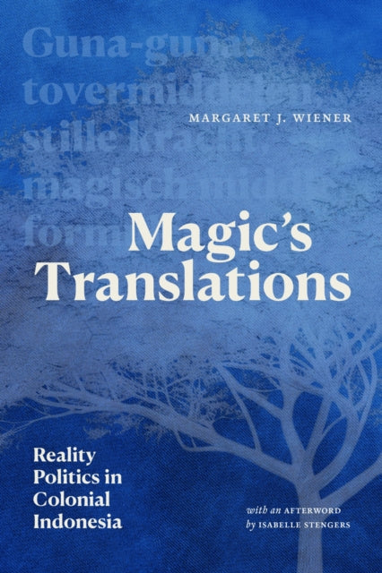 Book cover of: Magic's Translations. By: Margaret J. Wiener