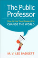 Book cover of: Public Professor