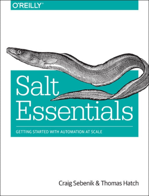 Book cover of: Salt Essentials. By: Craig Sebenik