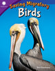 Book cover of: Saving Migratory Birds. By: Ben Nussbaum