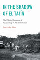 Book cover of: In the Shadow of El Tajin. By: Samuel Holley-Kline