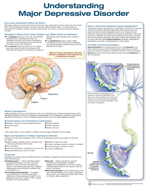 Book cover of: Understanding Major Depressive Disorder