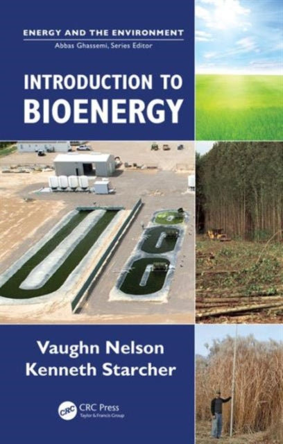 Book cover of: Introduction to Bioenergy