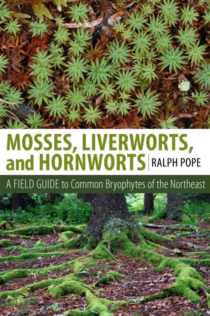 Book cover of: Mosses, Liverworts, and Hornworts. By: Ralph Pope