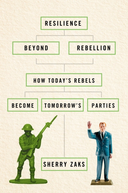 Book cover of: Resilience Beyond Rebellion. By: Sherry Zaks