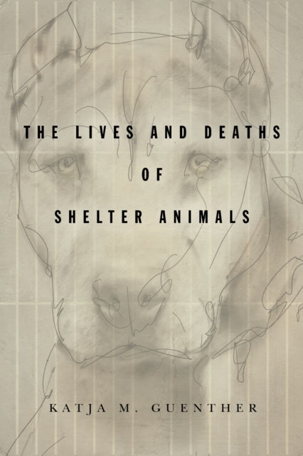 Book cover of: Lives and Deaths of Shelter Animals. By: Katja Guenther