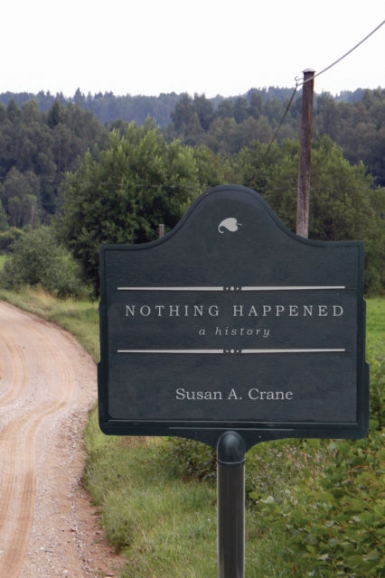 Book cover of: Nothing Happened. By: Susan A. Crane