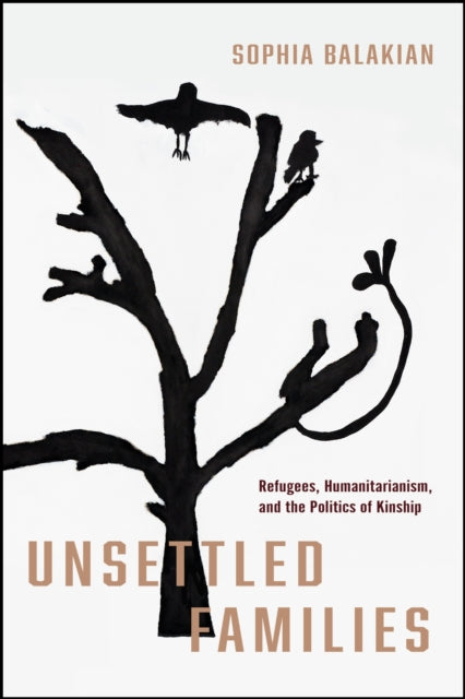 Book cover of: Unsettled Families. By: Sophia Balakian