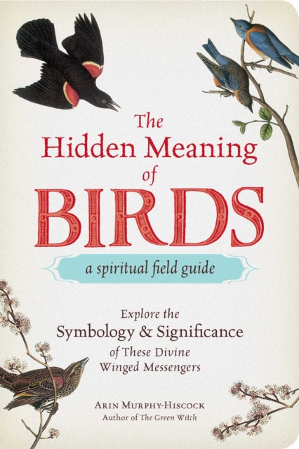 Hidden Meaning of Birds--A Spiritual Field Guide