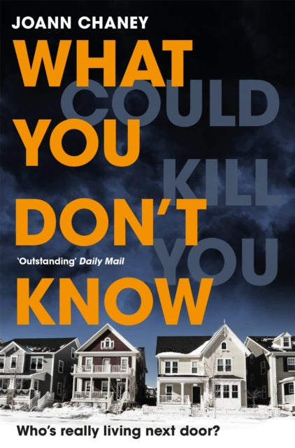Book cover of: What You Don't Know. By: JoAnn Chaney