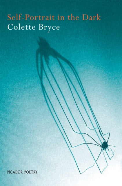 Book cover of: Self-Portrait in the Dark. By: Colette Bryce