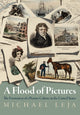 Book cover of: Flood of Pictures. By: Michael Leja