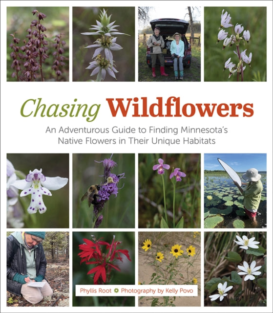 Book cover of: Chasing Wildflowers