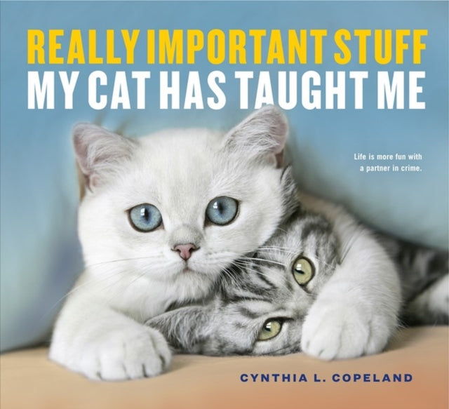 Book cover of: Really Important Stuff My Cat Has Taught Me. By: Cynthia L. Copeland