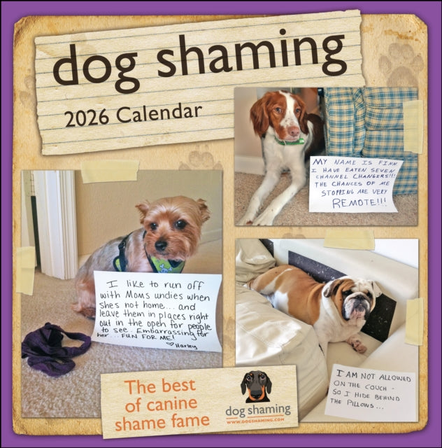 Book cover of: Dog Shaming 2026 Wall Calendar