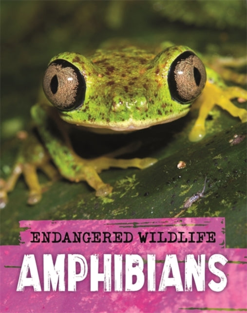 Book cover of: Endangered Wildlife: Rescuing Amphibians. By: Anita Ganeri