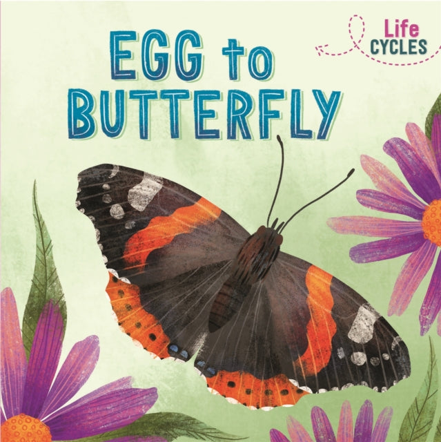 Book cover of: Life Cycles: Egg to Butterfly. By: Rachel Tonkin