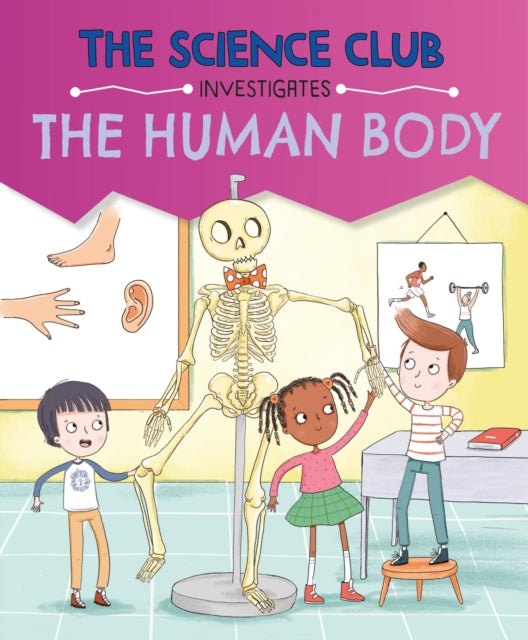Book cover of: Science Club Investigates: The Human Body. By: Mary Auld
