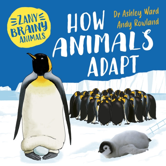 Zany Brainy Animals: How Animals Adapt 9781526323958 Ashley Ward