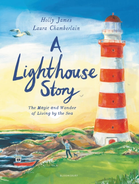 Book cover of: Lighthouse Story. By: Laura Chamberlain